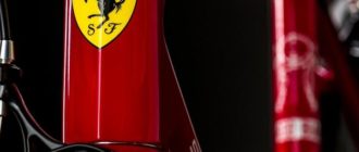Ferrari jalgratas - tüübid, plussid ja miinused