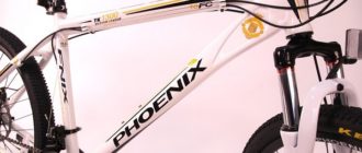 Phoenix bike - plussid ja miinused, valikunipid