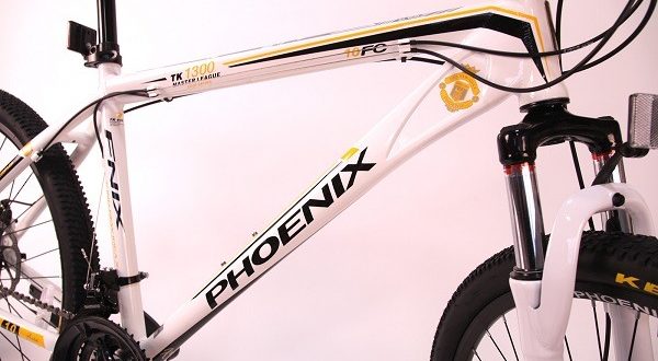 Phoenix bike - plussid ja miinused, valikunipid